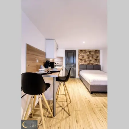 Mignon Studio au coeur de Metz  Extérieur photo