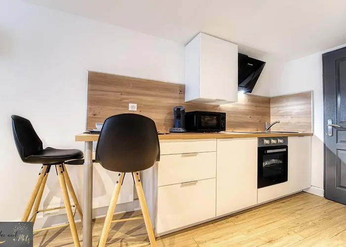 Mignon Studio Au Coeur De Metz