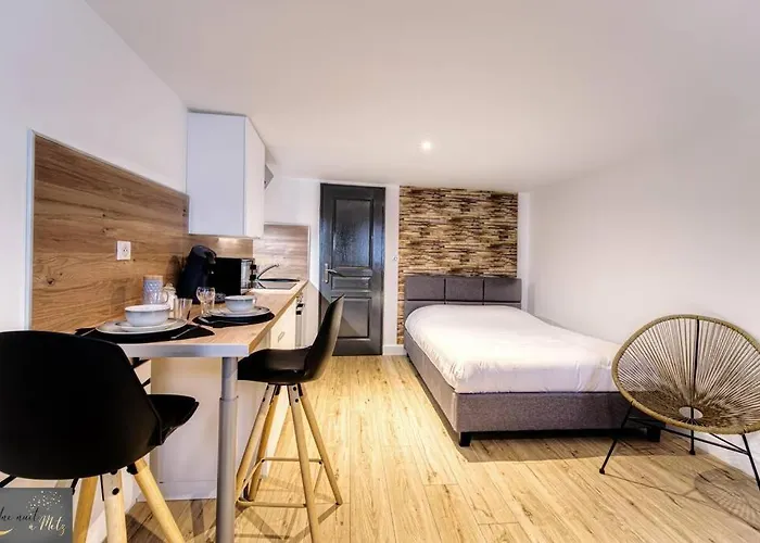 Mignon Studio Au Coeur De Metz